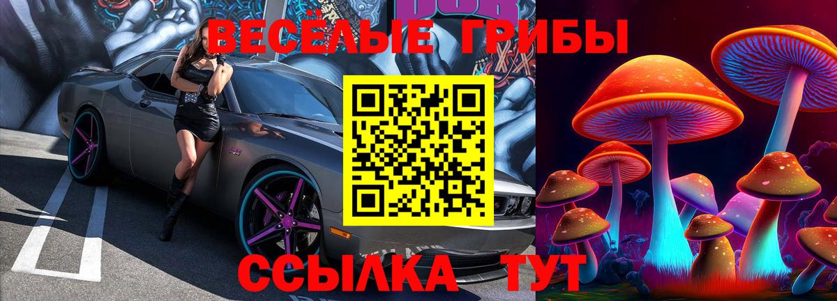 Галлюциногенные грибы Psilocybine cubensis  Вход с VPN  Воткинск 