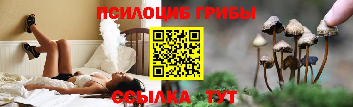Галлюциногенные грибы Psilocybe Воткинск